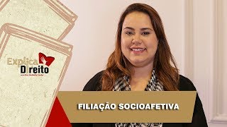 Explica Direito Filiação Socioafetiva  2019 [upl. by Paco928]