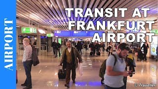 TRANSIT WALK AT FRANKFURT Airport FRA Terminal 1  Connection Flight Transfer Arriving amp Departing [upl. by Zeena]